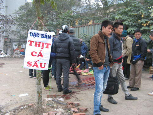 Xẻ[-]thịt[-]cá[-]sấu[-]bán[-]trên[-]vỉa[-]hè[-]1